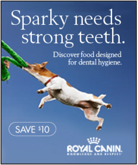 Sparky_Royal Canin